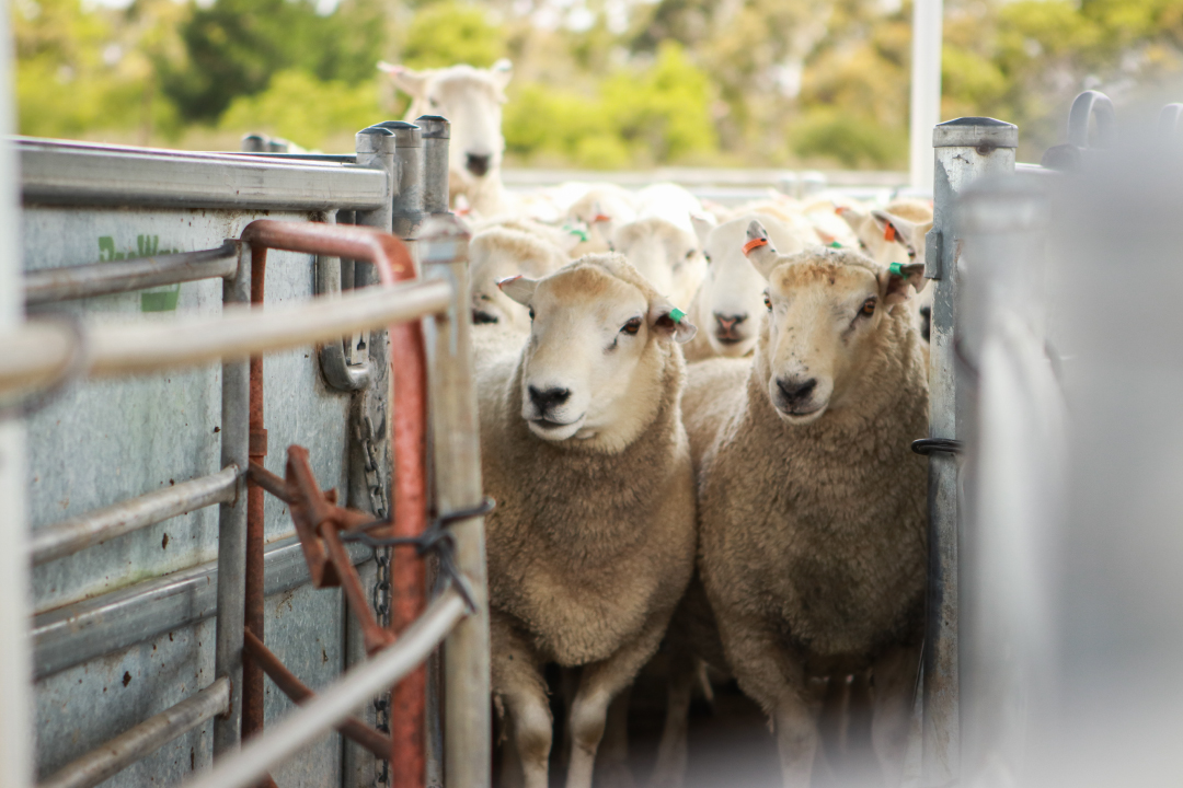 History Kiranda Maternal