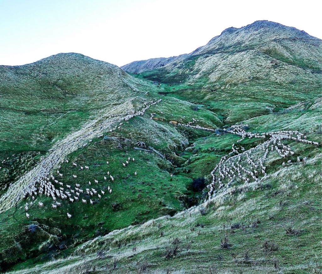 Kiranda Maternal History